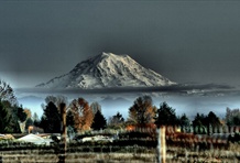 Mt. Rainier National Park